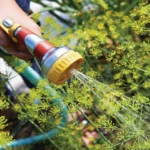 ระบบปรับปรุงคุณภาพน้ำ